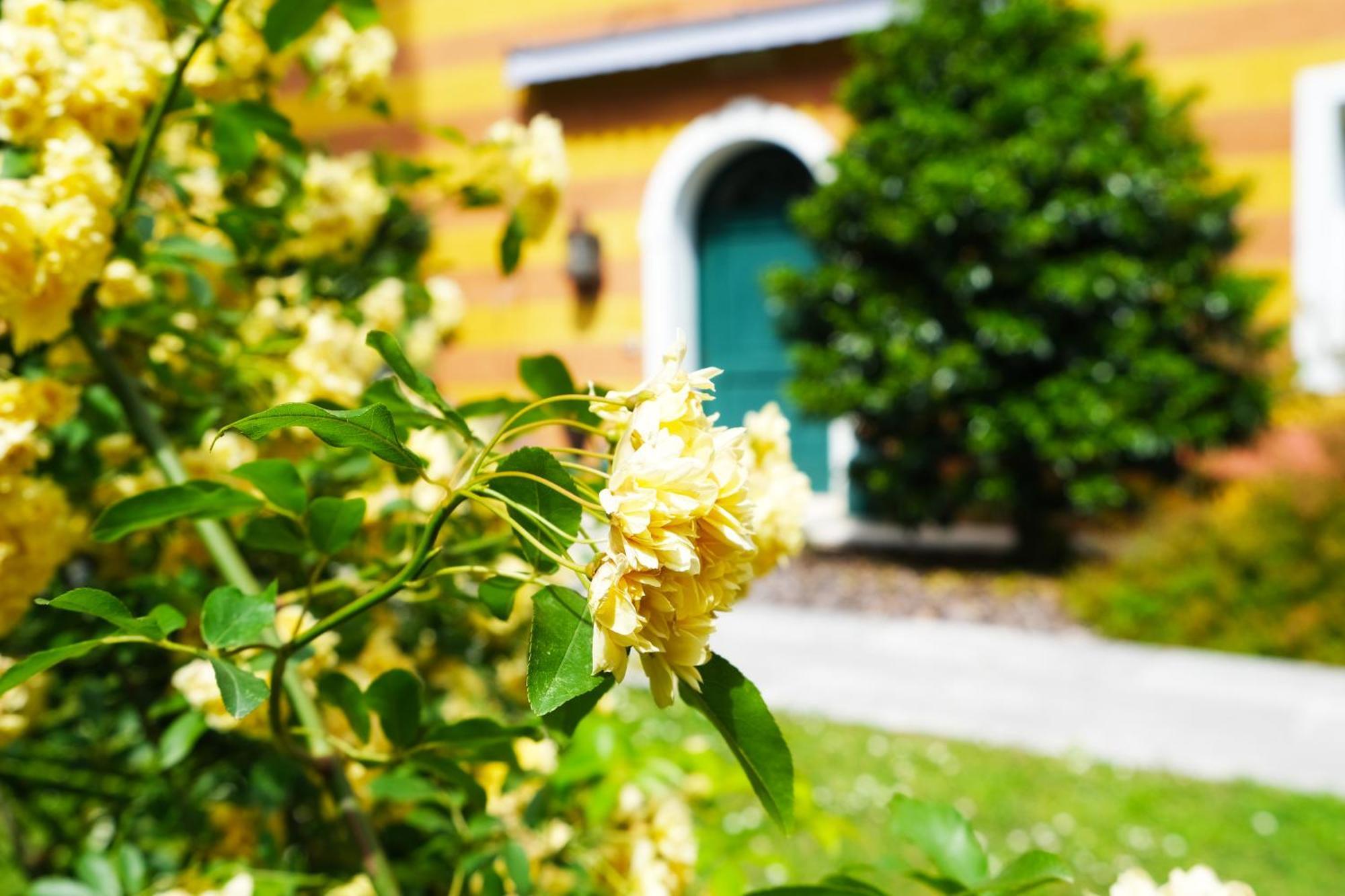 Hotel Villa Ca Damiani Caneva Luaran gambar