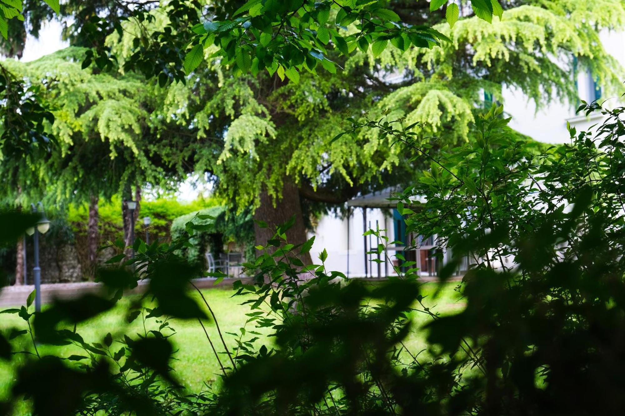 Hotel Villa Ca Damiani Caneva Luaran gambar